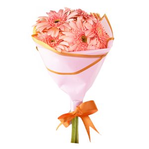 Pembe Gerbera Buketi
